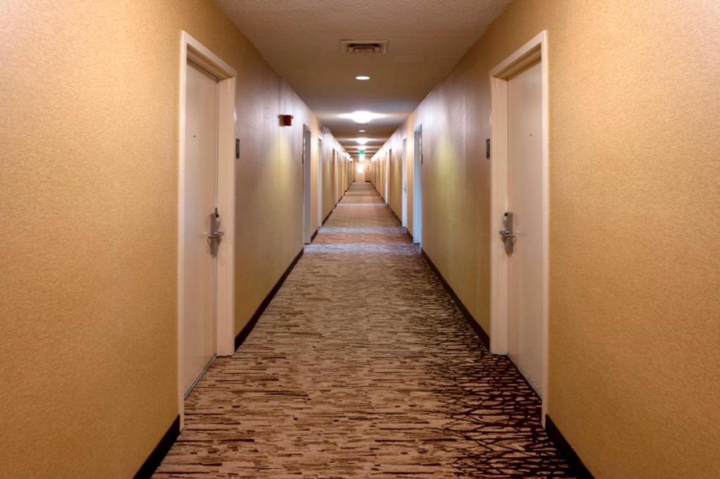 Room image 4